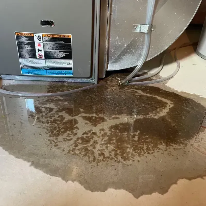 Appliance Leak Cleanup in Sullivan, IL